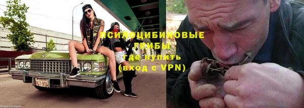 ALPHA PVP Аркадак